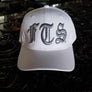 FTS Logo fitted hat - white with silver gray